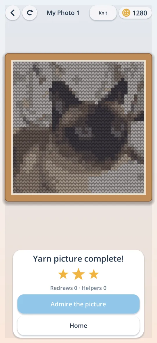 The finished yarn picture in its frame