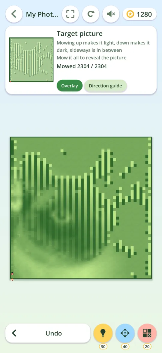The picture revealed in mown stripes
